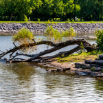 Ottawa River Water Levels Declining