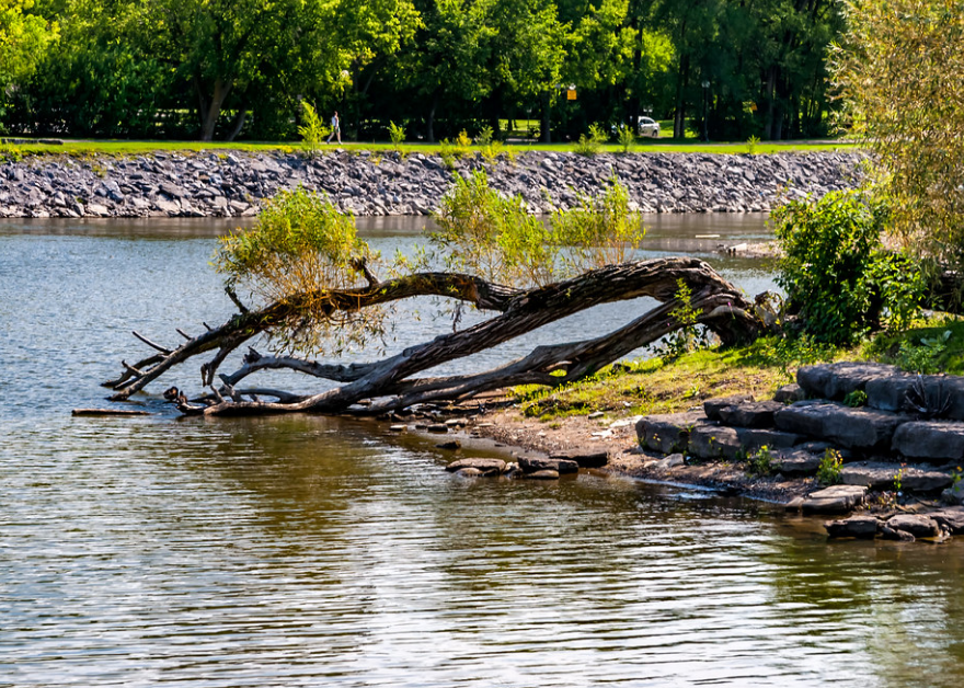 Ottawa River Water Levels Declining